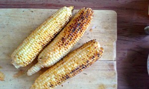 Corn corn corn.