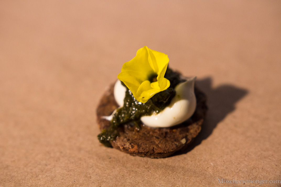 Steven Wooten from Say Cheese: Cowgirl Creamery crème fraîche, foraged greens and flowers, acorn flour biscuit.