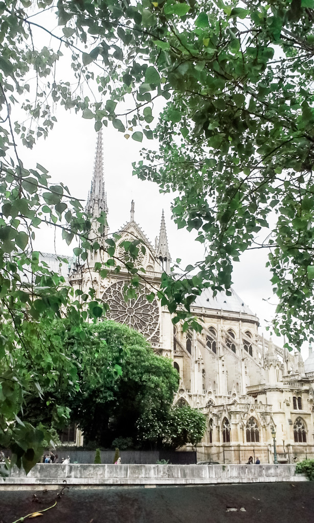 Ah, Notre Dame! Paris. Misscheesemonger.com.