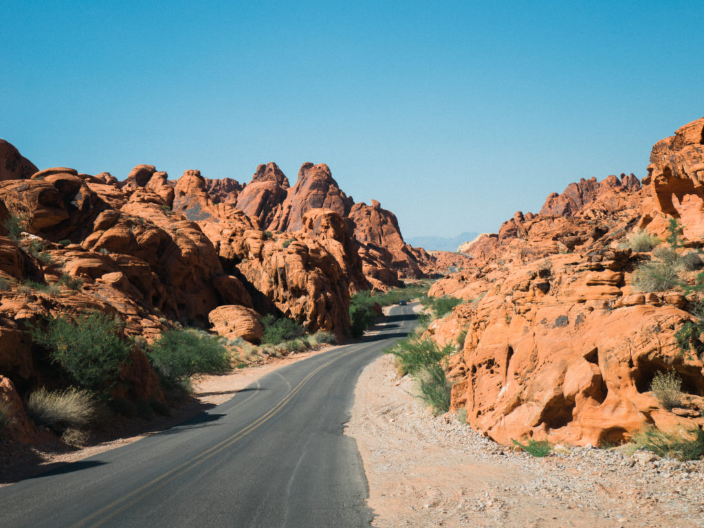 Valley of Fire State Park and Zion National Park on misscheesemonger.com