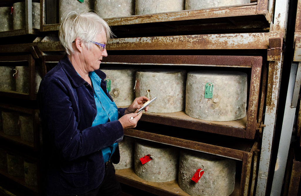 Catching up with Mary Quicke of Quicke's Cheese. Photo Courtesy of Quicke's. On misscheesemonger.com.