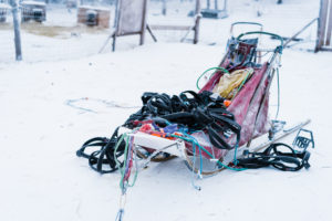 Dogsledding in the Yukon Territory with Into the Wild Adventures. By Vero Kherian. misscheesemonger.com.