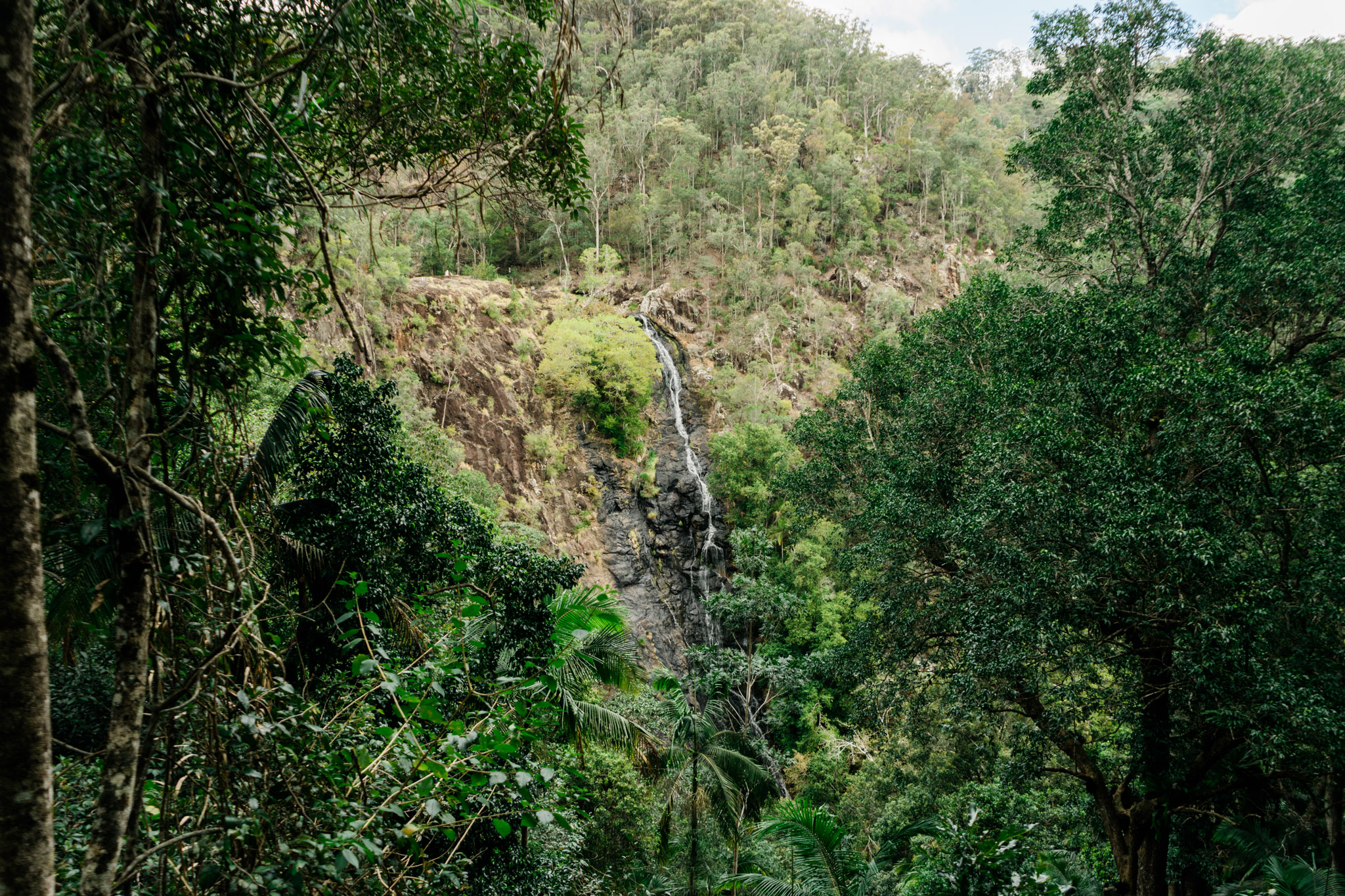 Visiting Australia, Maleny, The Sunshine Coast, international travel blog. Kondalilla Falls.